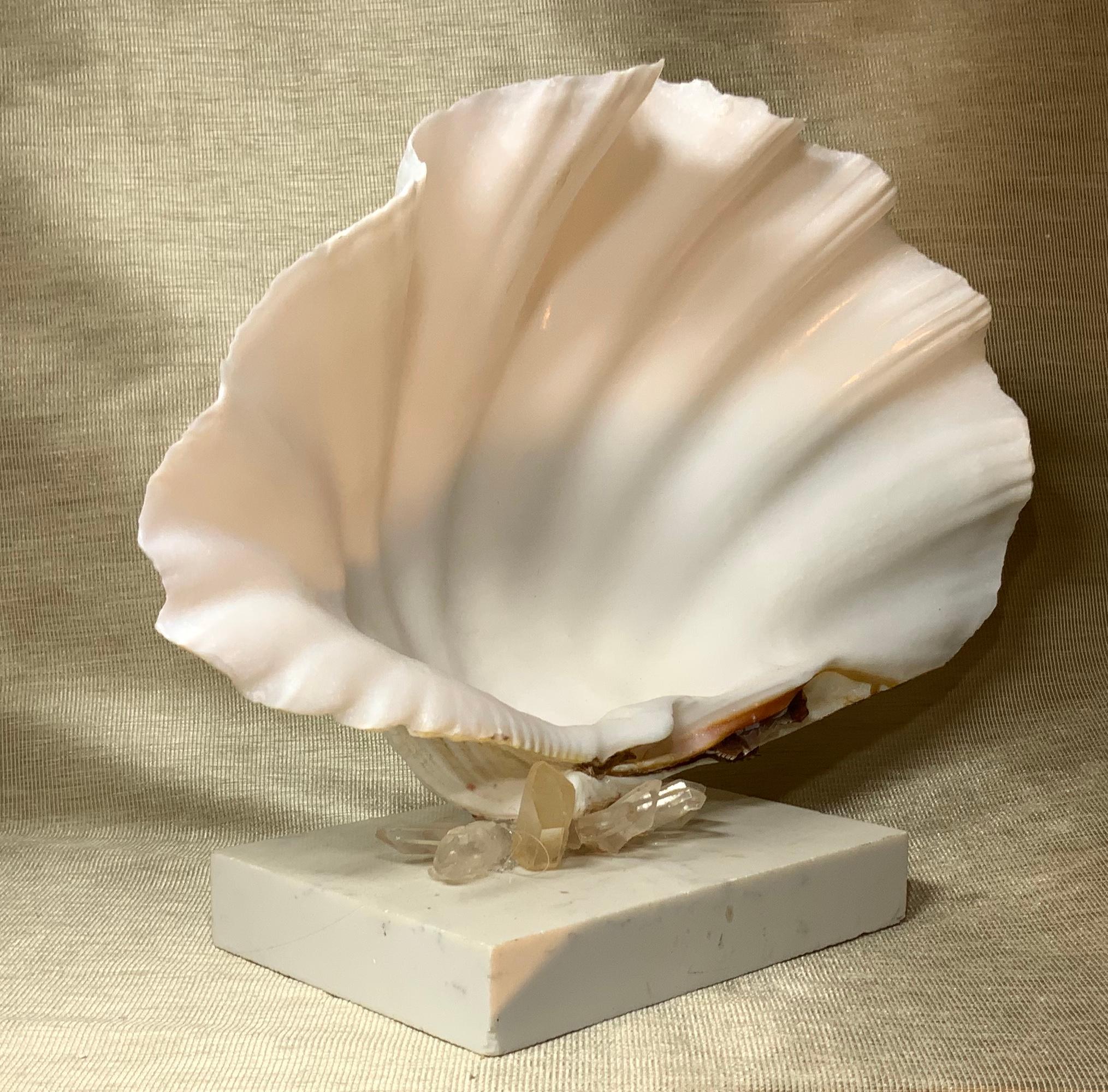 American Mounted Natural Clamshell with Crystal Quartz