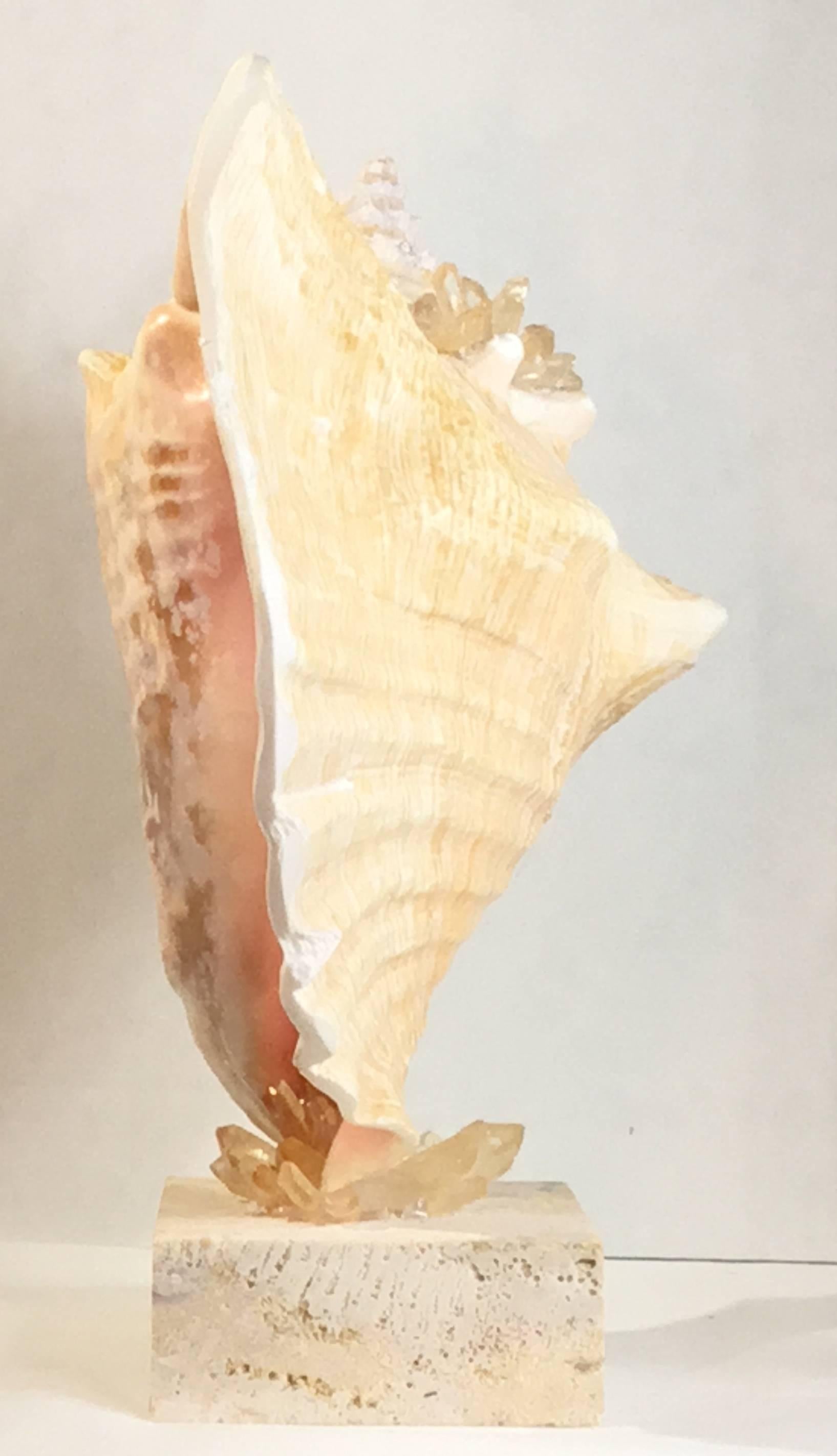Mounted Natural Sea Shell with Crystal 4