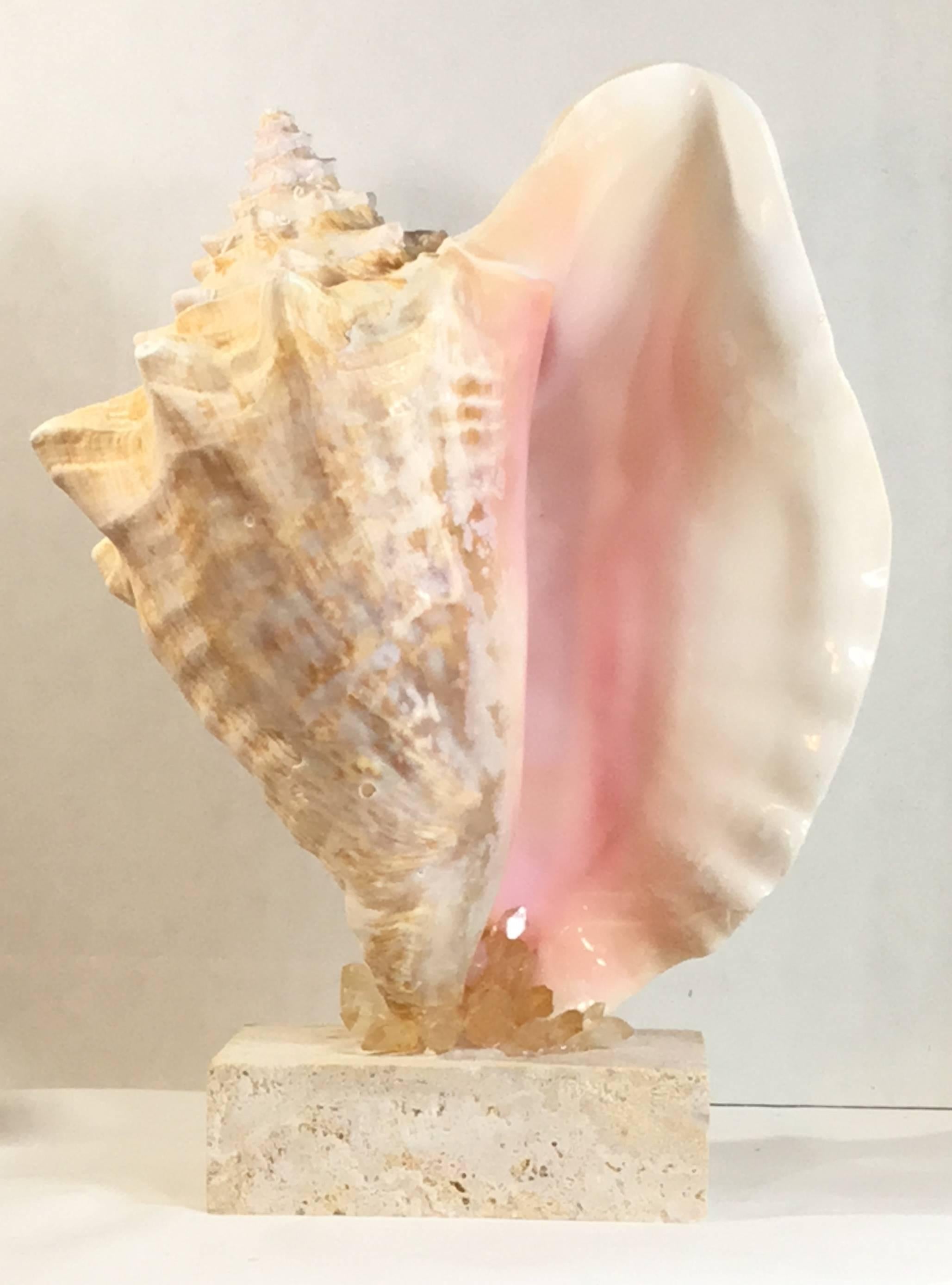 Mounted Natural Sea Shell with Crystal 1