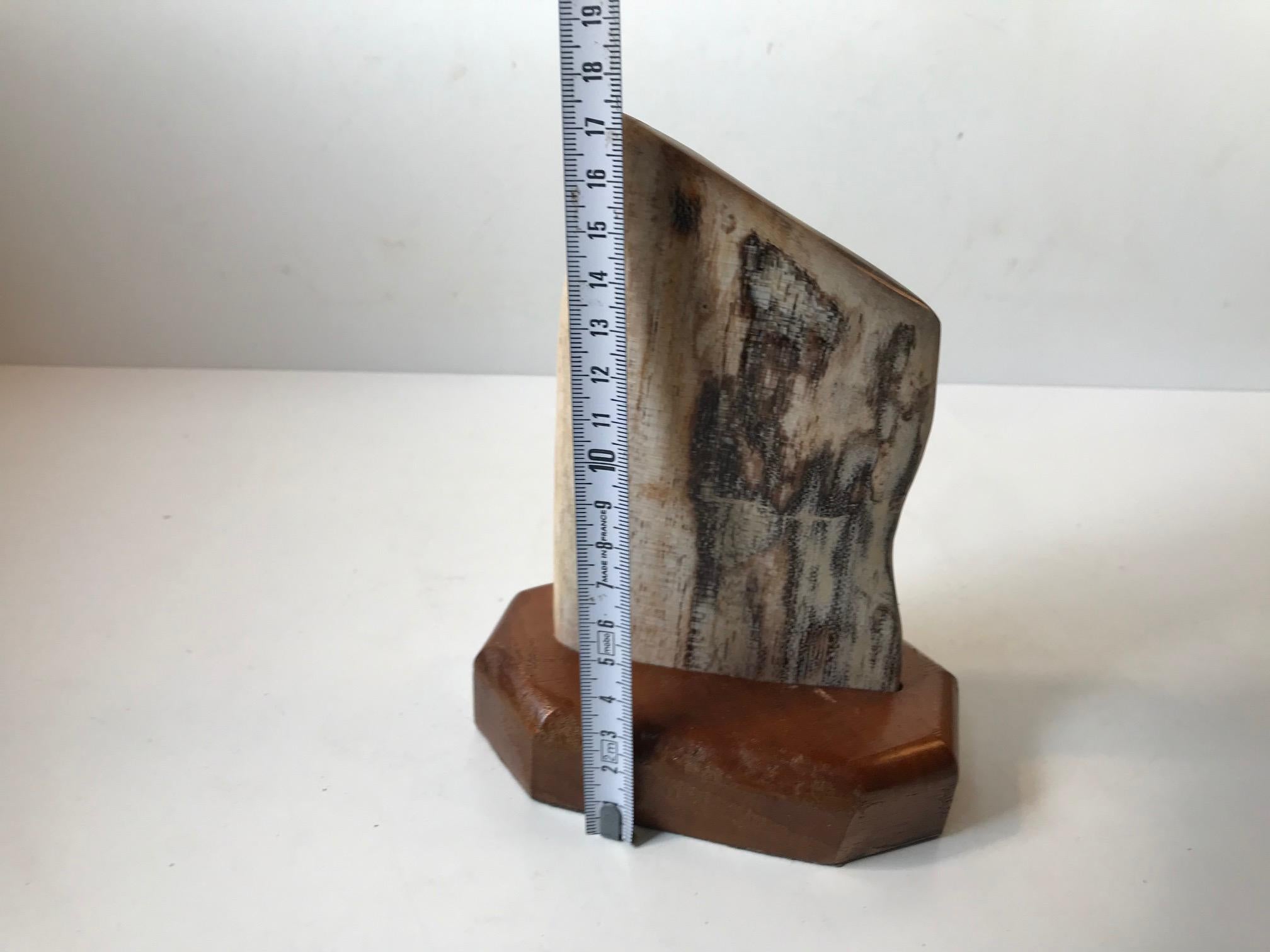 Stone Mounted Object of Fossilized Wood, Scandinavia For Sale