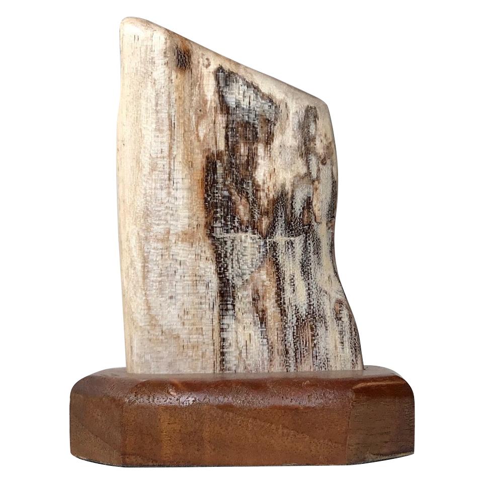 Mounted Object of Fossilized Wood, Scandinavia For Sale