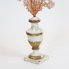 Mounted Orange Sea Fan on Antique White and Gilt Base