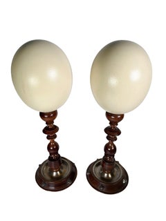 Mounted Ostrich Eggs