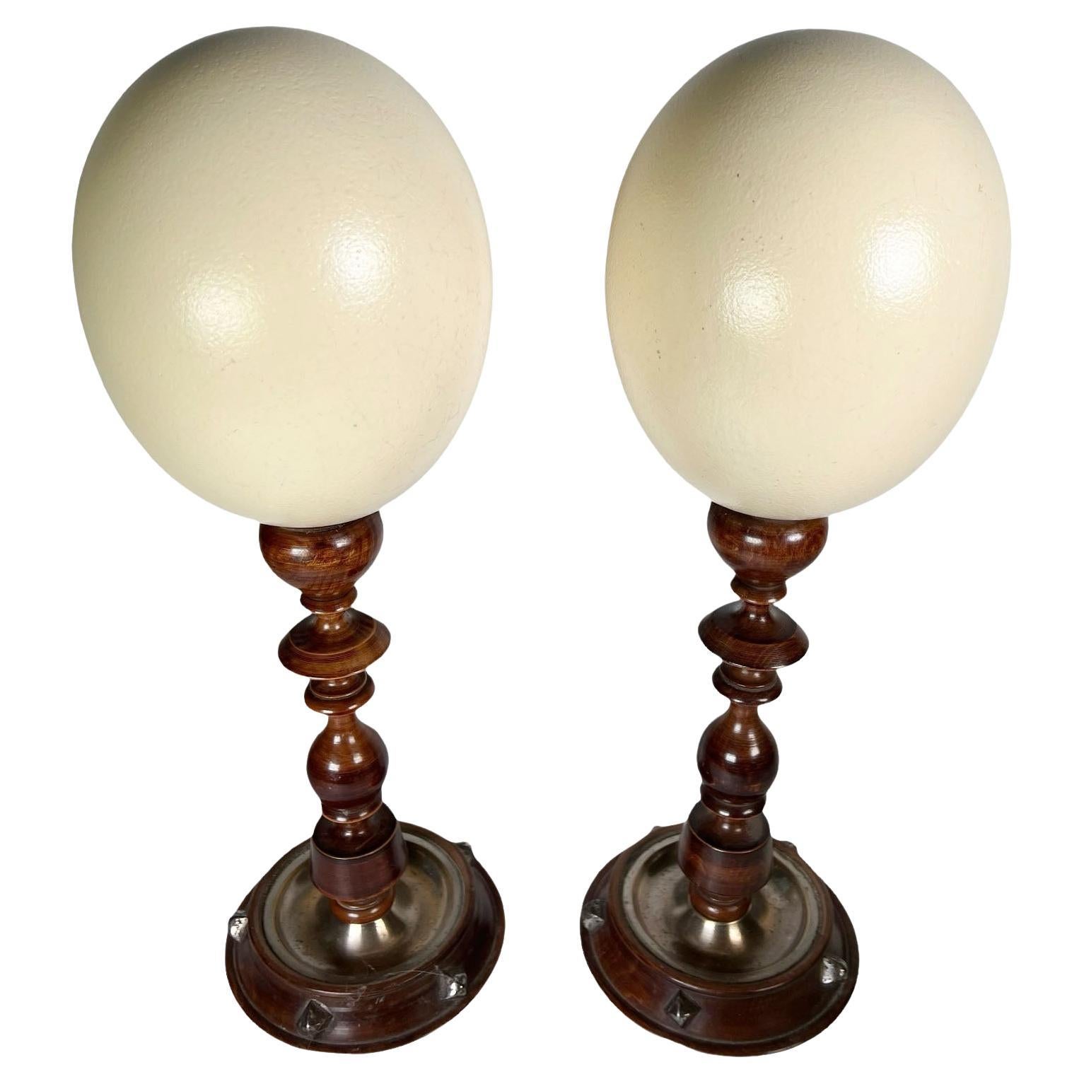 Huevos de avestruz montados