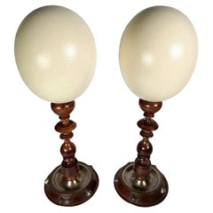 Huevos de avestruz montados