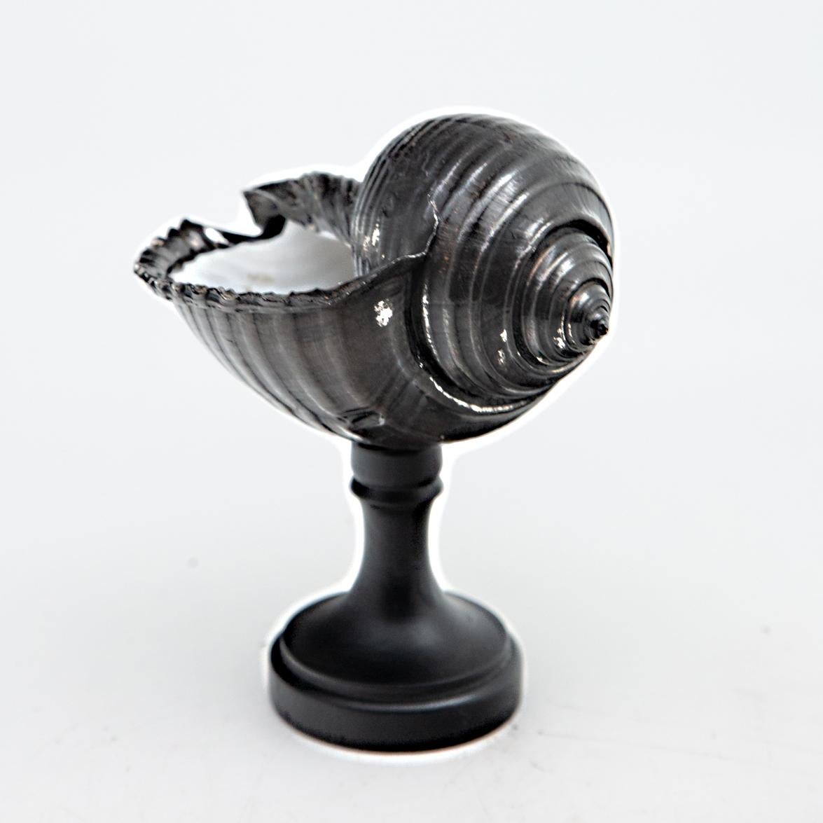 Contemporary Mounted Oxidized Silver Tonna Shell