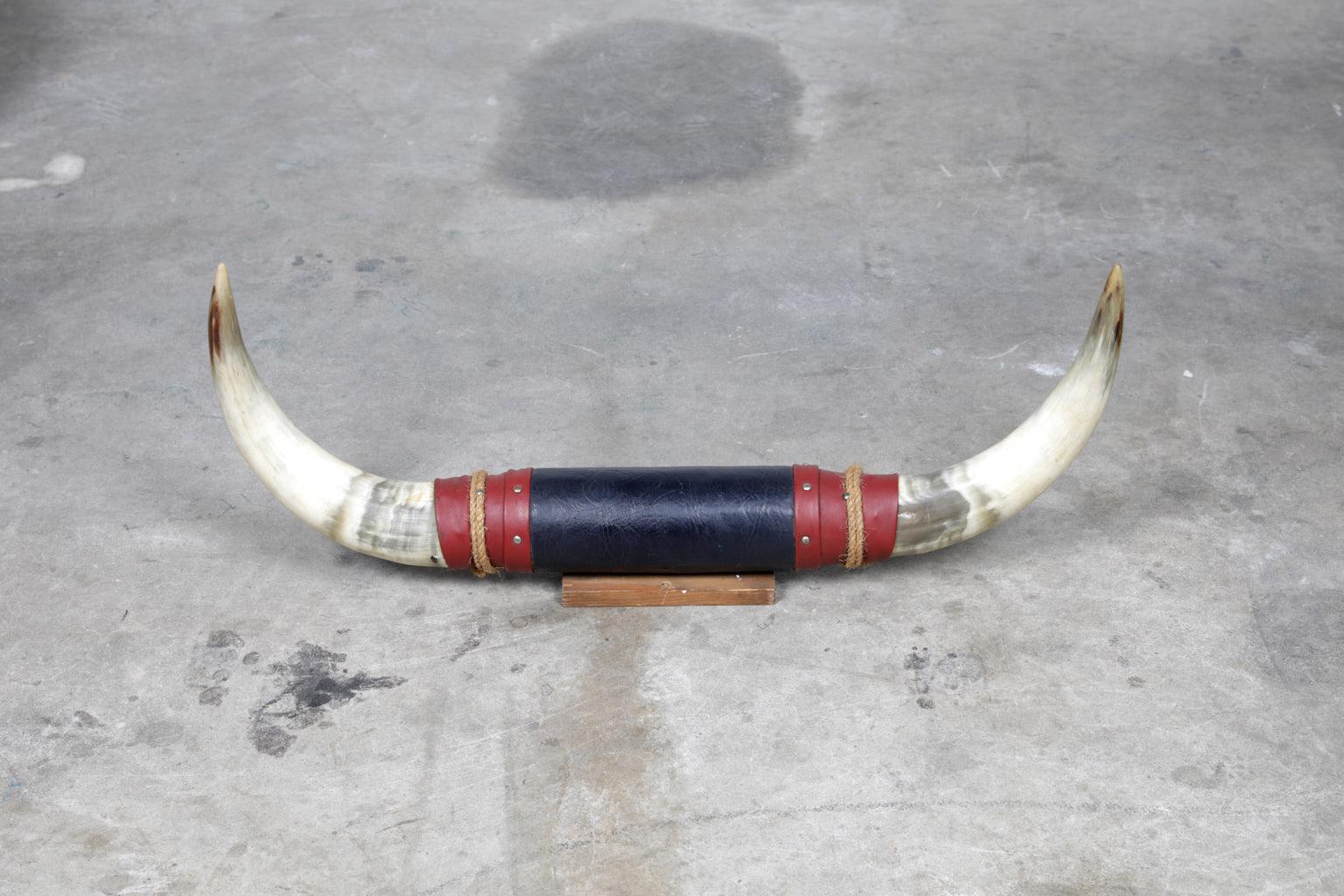 20th Century Mounted Pair of Taxidermy Steer Horns