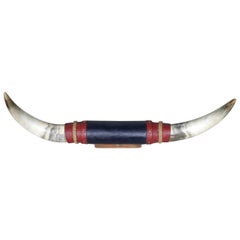 Mounted Pair of Taxidermy Steer Horns