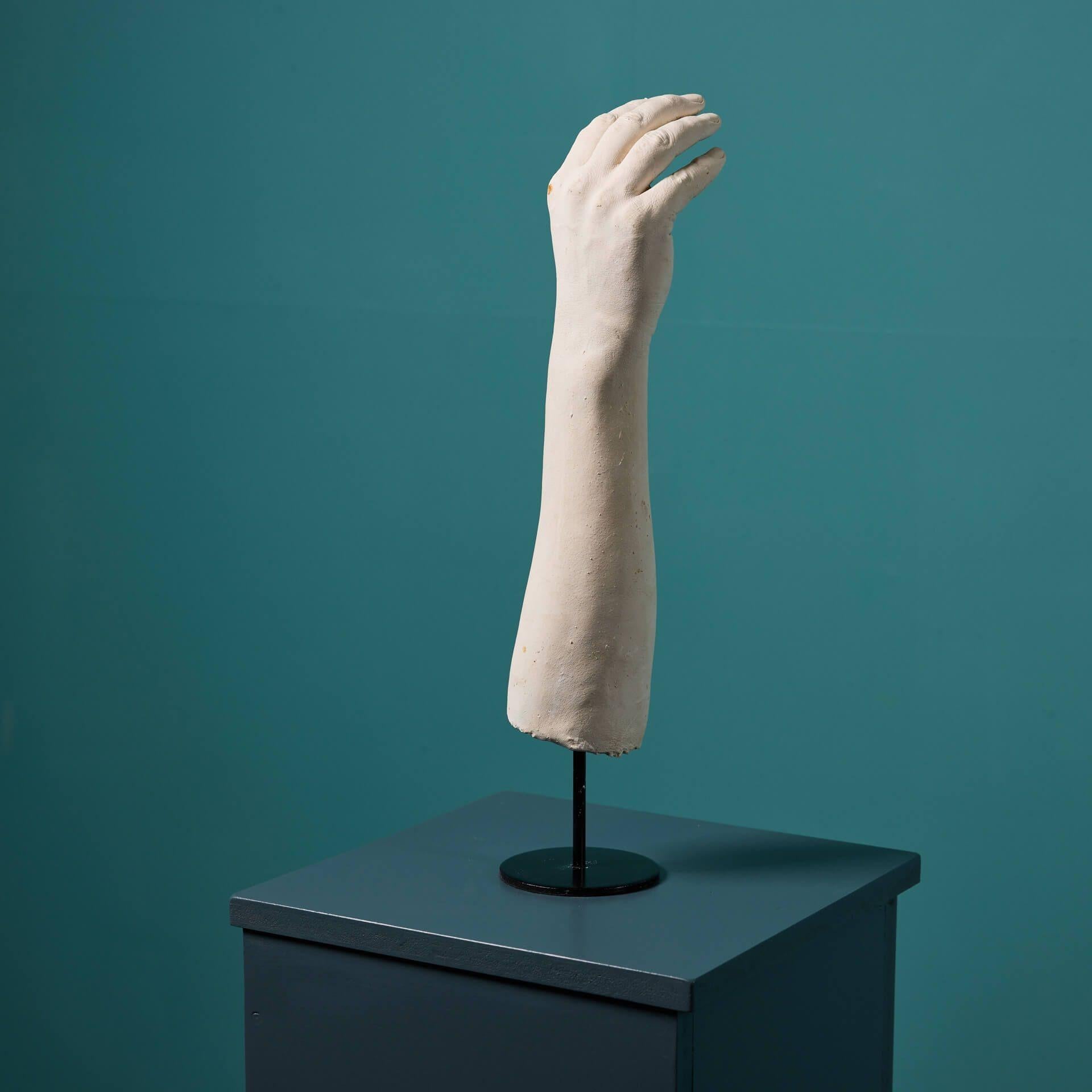 Mano in gesso montata Ex. Collezione Tucker In condizioni discrete in vendita a Wormelow, Herefordshire