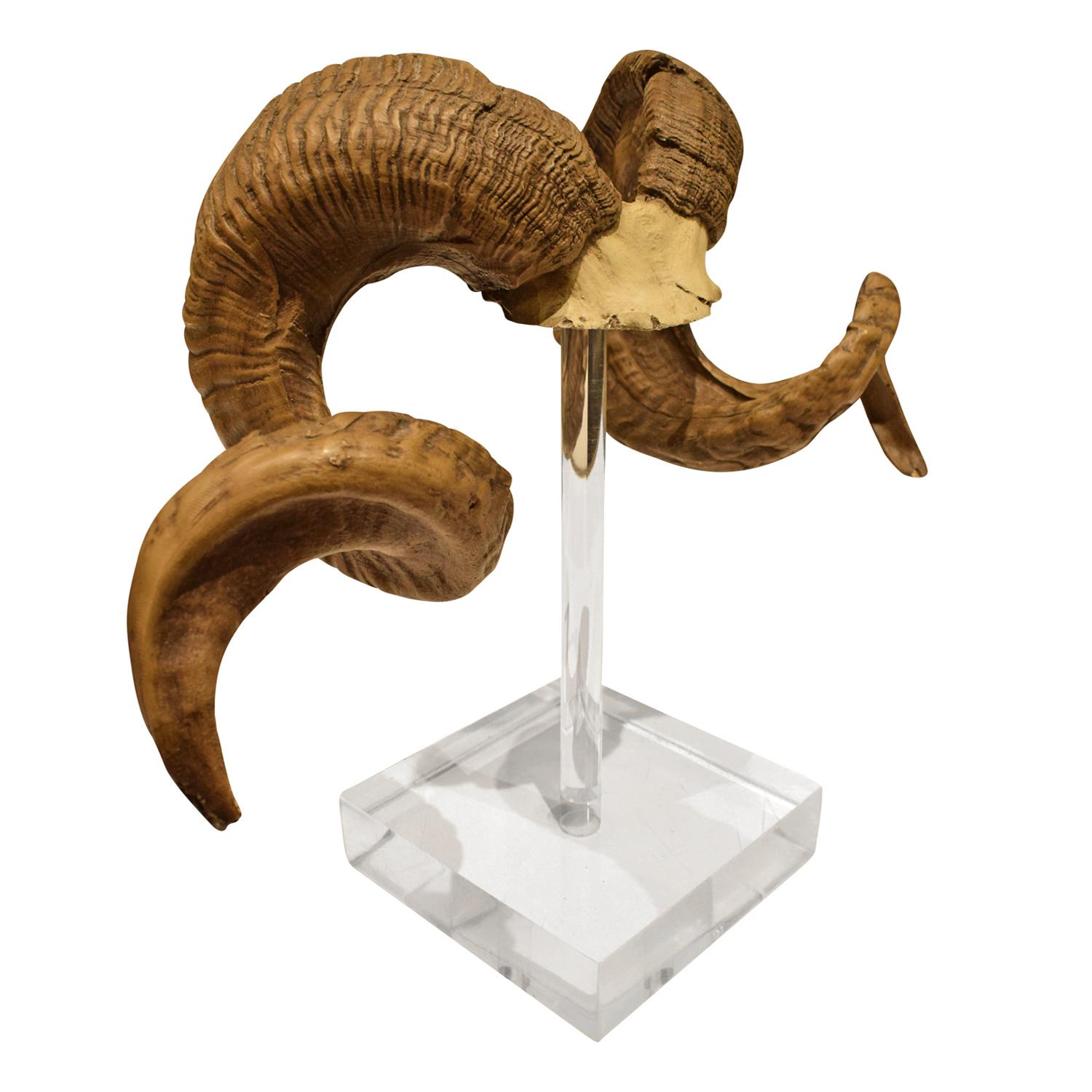 Set of ram horns mounted on a solid Lucite base, American, 1970s.