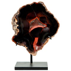 Mounted Red Fox Agate