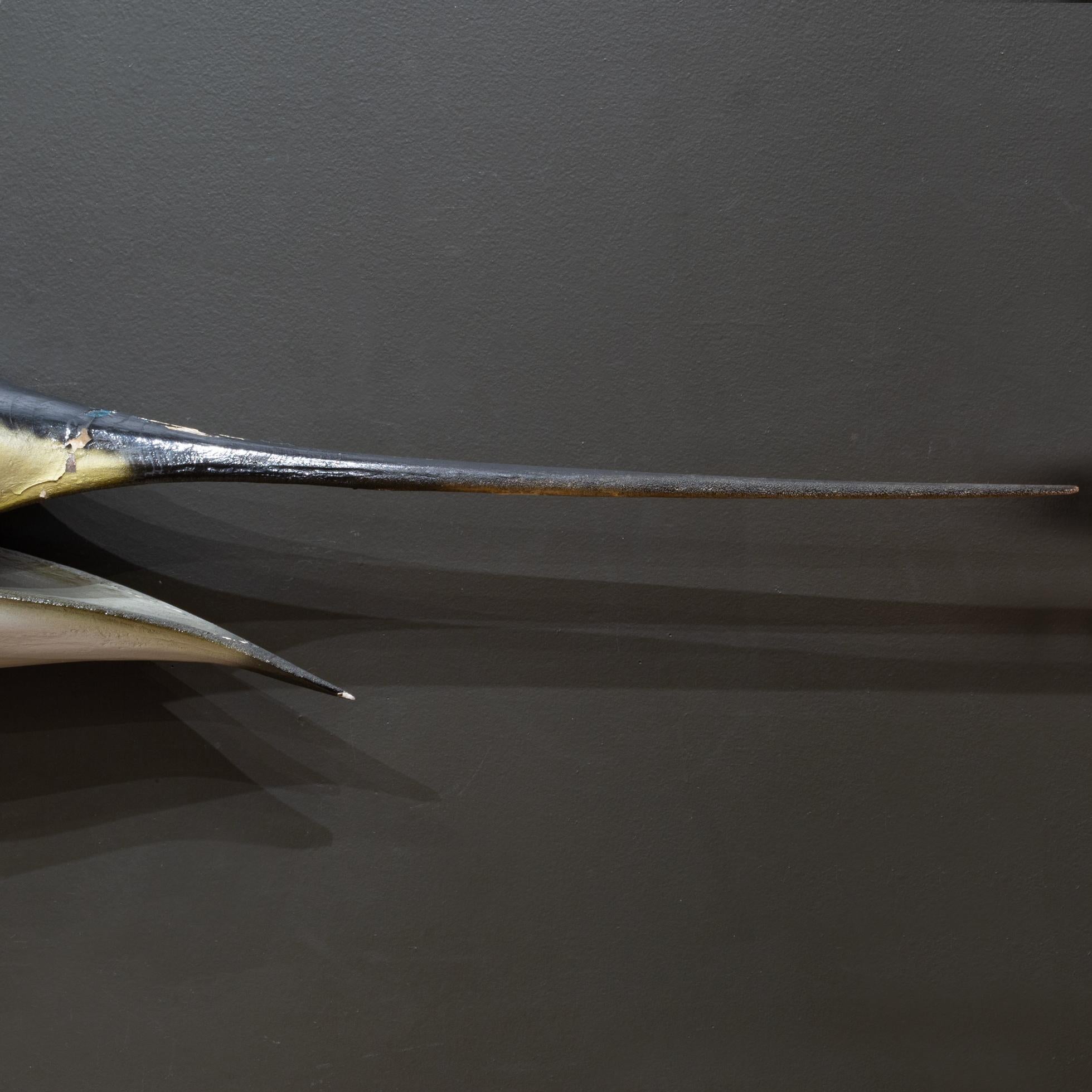Peau d'animal Taxidermie de voilier monté c.I.C. c.1970 en vente