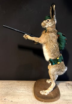 Mounted Taxidermy Hare with Rifle