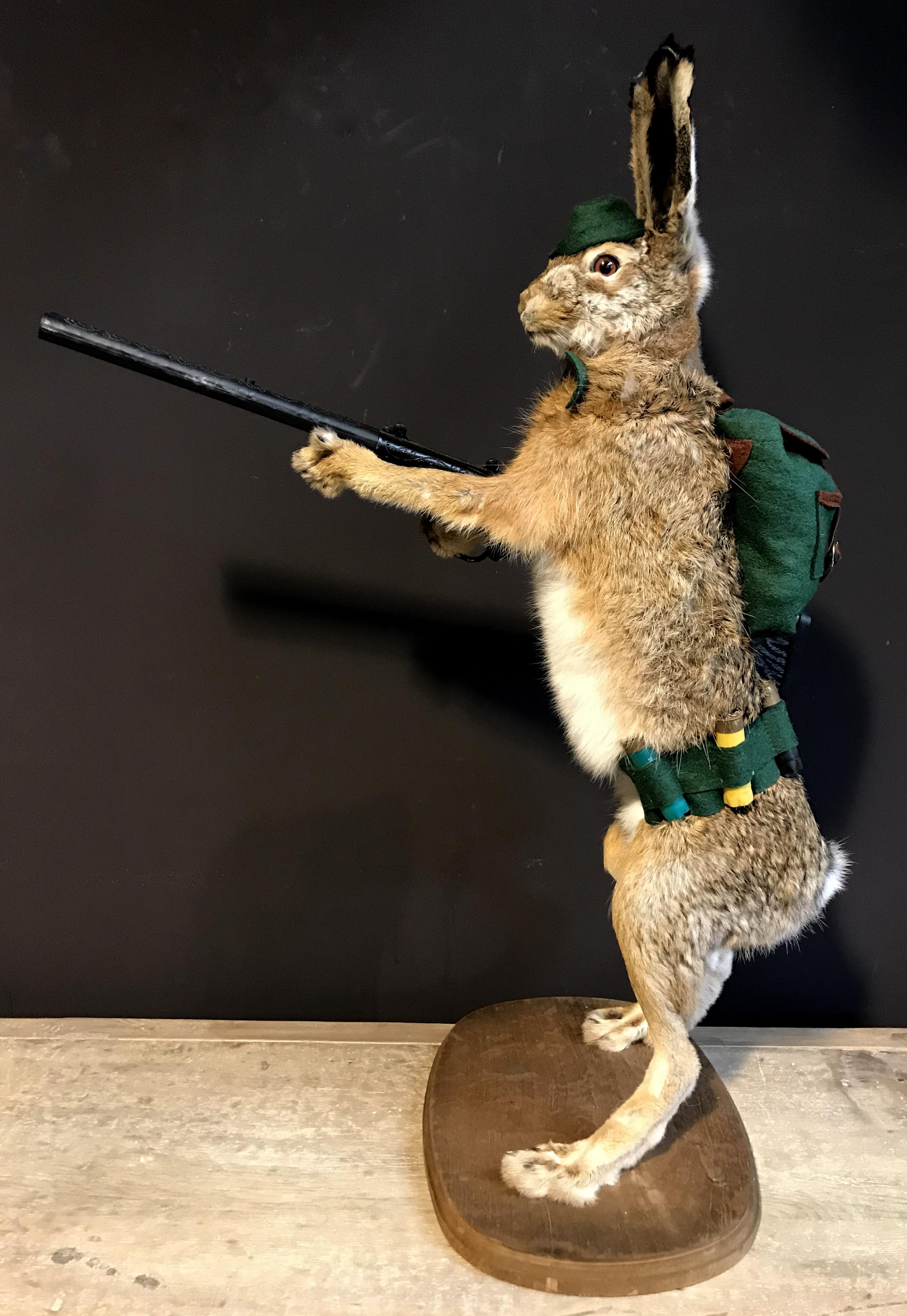Mounted taxidermy hare with rifle. The hare is beautifully finished with backpack, hunter's hat and ammunition belt. A real eyecatcher.