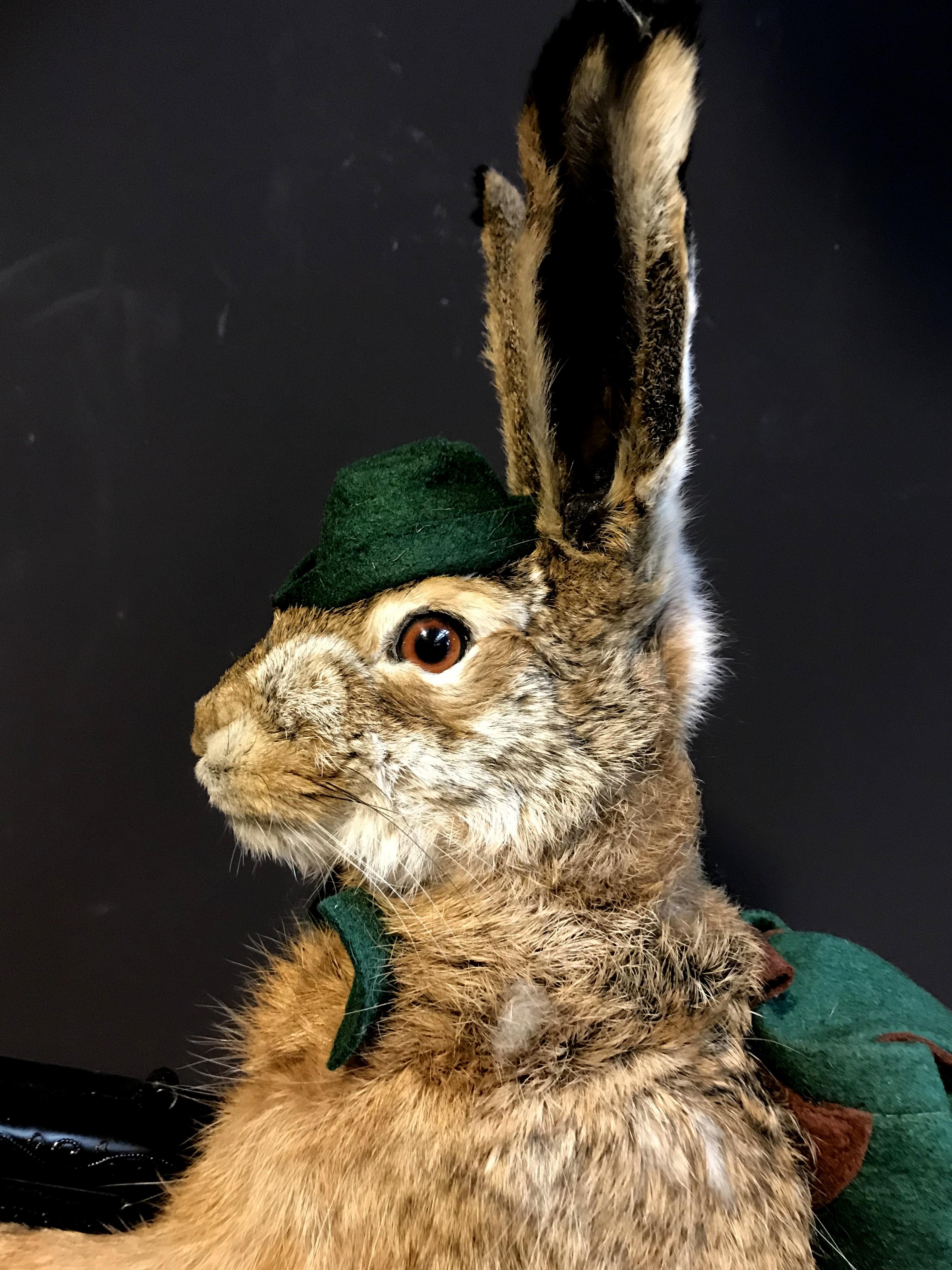 Mounted Taxidermy Hare with Rifle In Excellent Condition For Sale In Eindhoven, NL