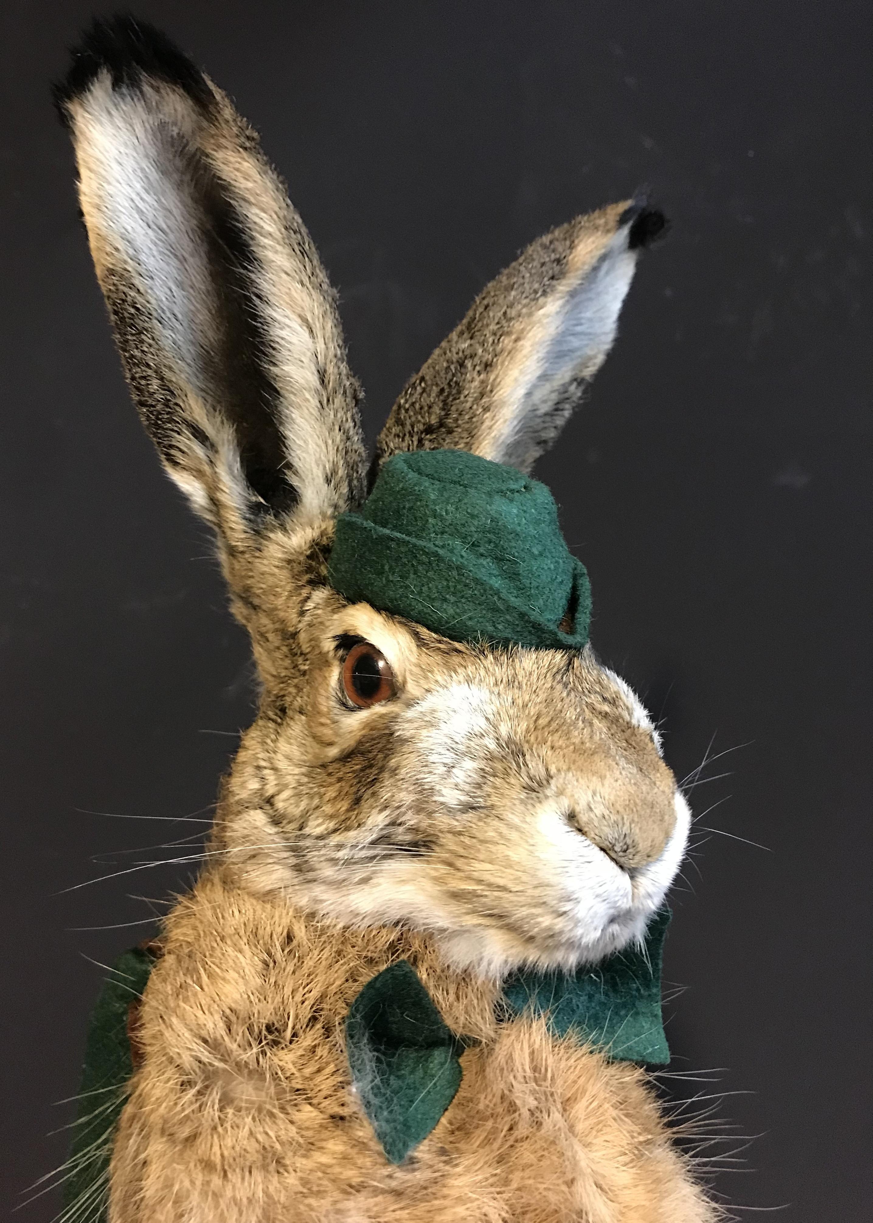 Patent Leather Mounted Taxidermy Hare with Rifle