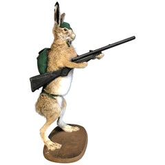 Mounted Taxidermy Hare with Rifle