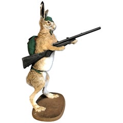 Mounted Taxidermy Hare with Rifle