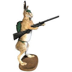 Antique Mounted Taxidermy Hare with Rifle