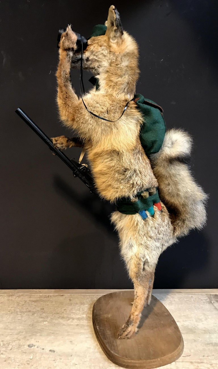 Mounted Taxidermy Hunting Fox with Rifle at 1stDibs