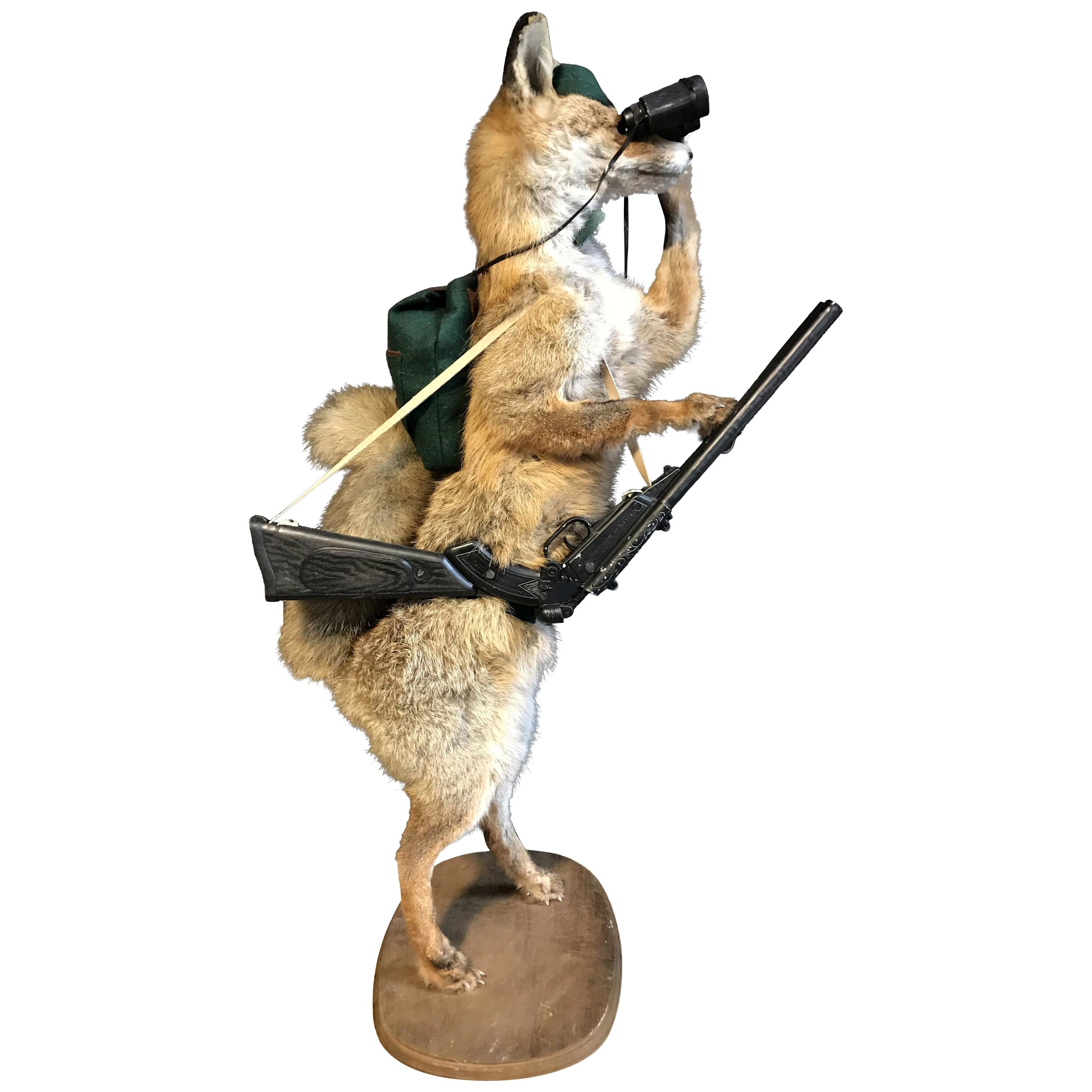 Mounted Taxidermy Hunting Fox with Rifle For Sale