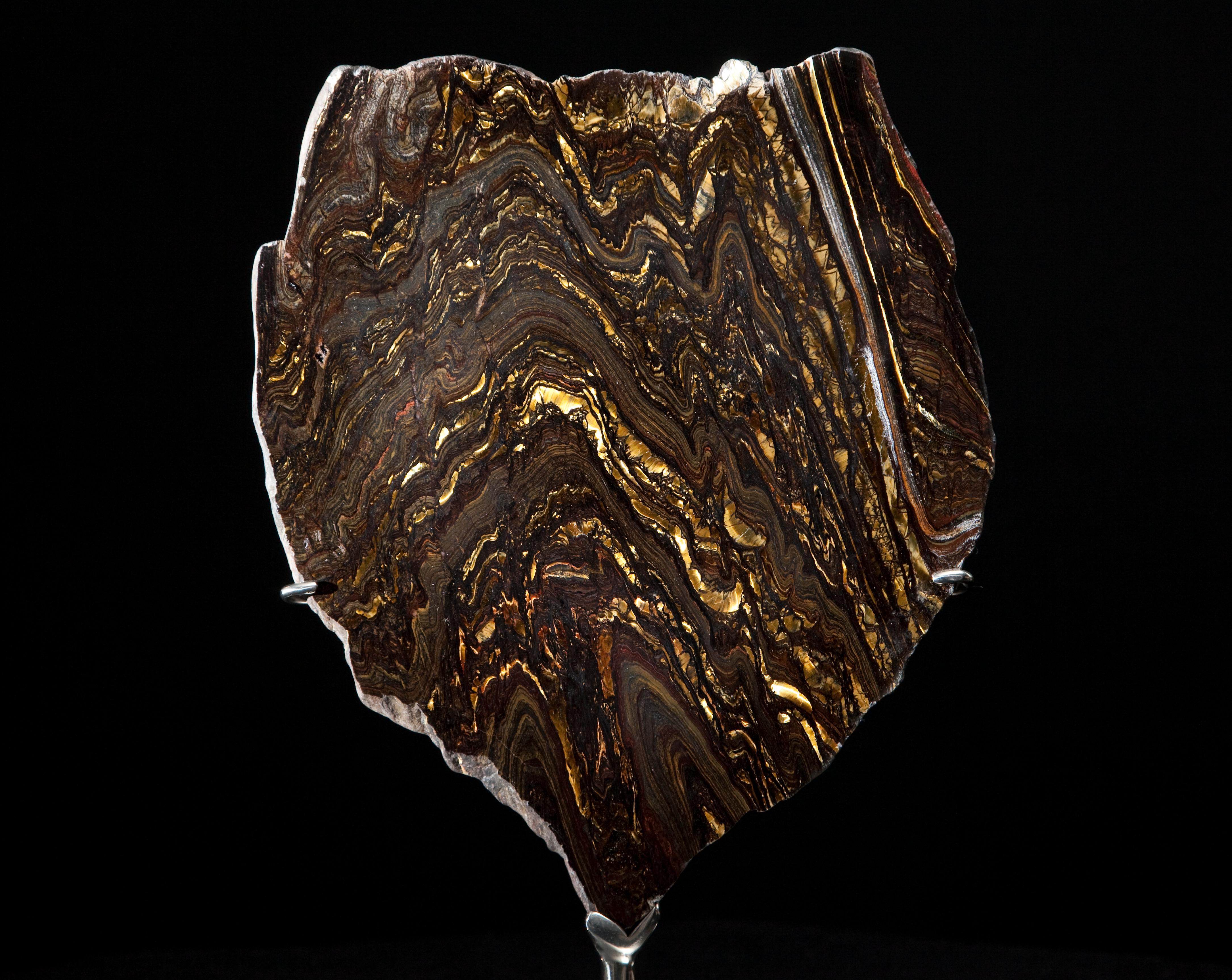 A beautiful stone with black, golden, and red stripes. Tiger iron is a combination of Tiger eye, hematite and jasper.

About Dale Rogers Ammonite

Since 1986 Dale Rogers has been sourcing the grandest fossils, crystals and minerals from around