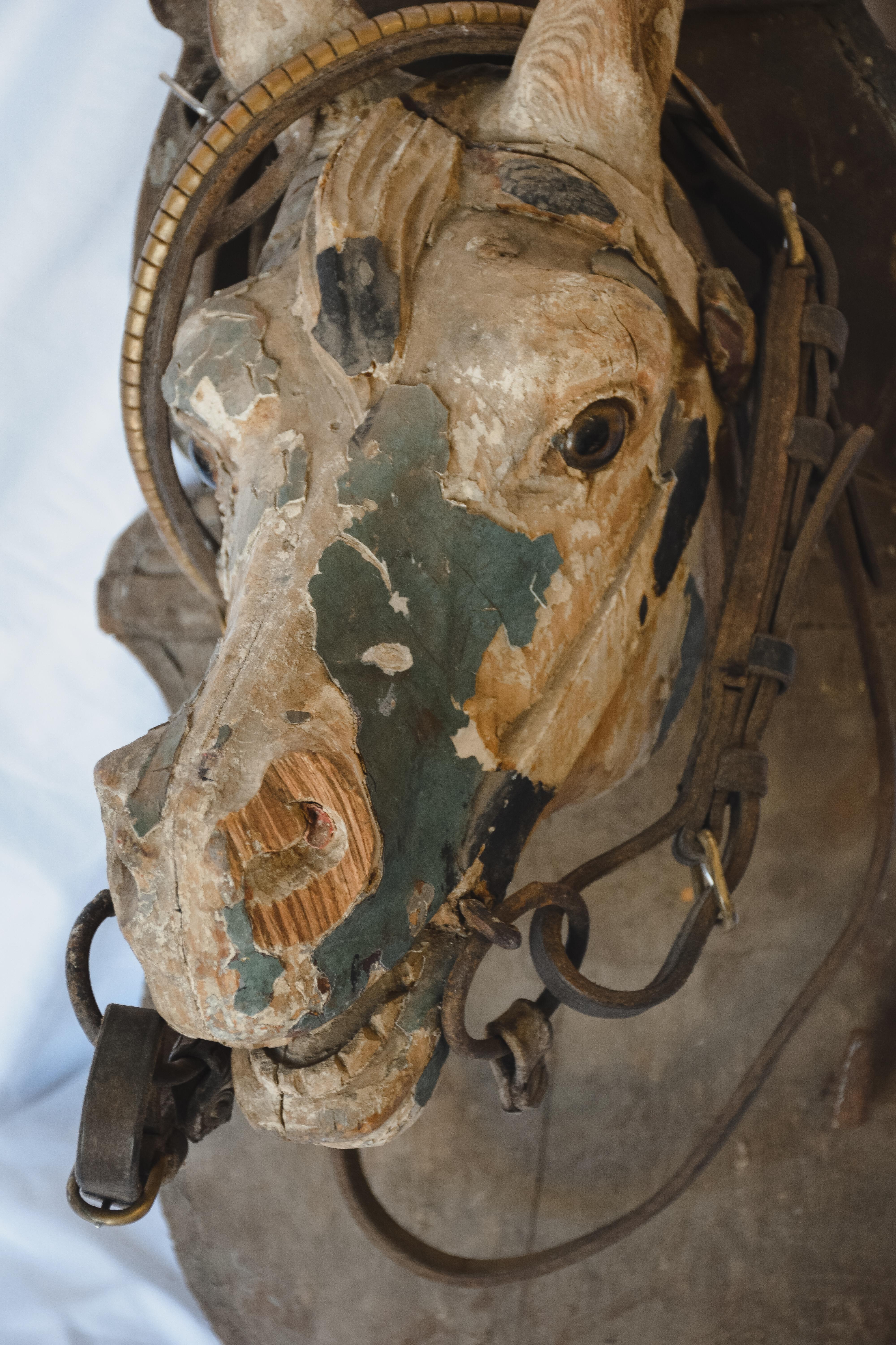 Mounted Wood Horse Head For Sale 3