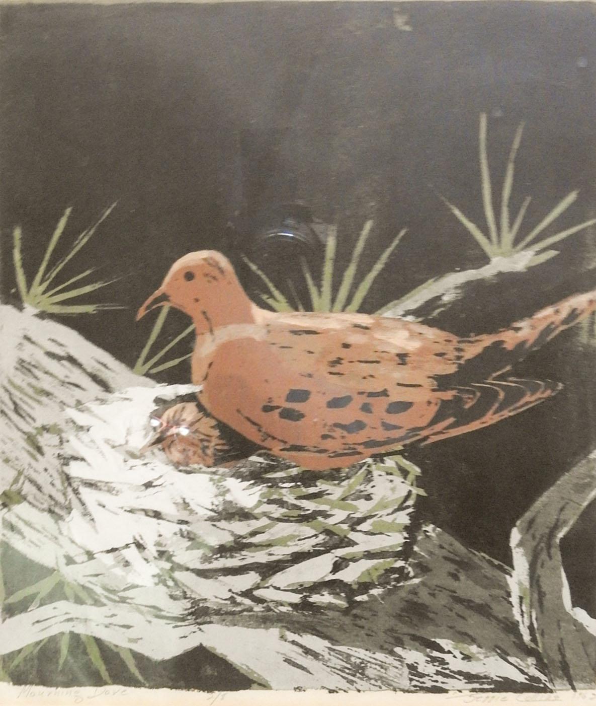 Serigraph on paper by Jessie Collins (20th Century) American. Signed, dated 1962, titled Mourning Dove and numbered 2/8 in pencil along lower margin. Displayed under glass and mat in narrow wood frame, opening size 12.5