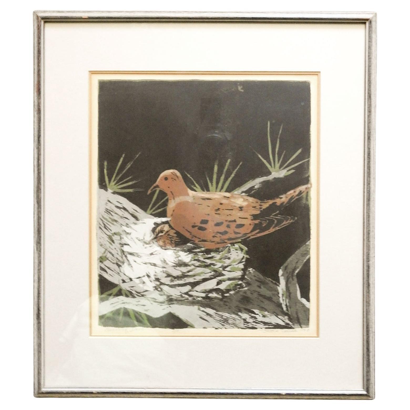 Mourning Dove by Jessie Collins Serigraph For Sale