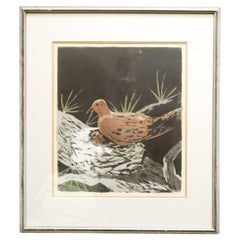 Vintage Mourning Dove by Jessie Collins Serigraph