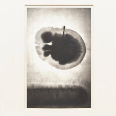 Black and White Photography Mouth of Krishna #110 by Albarran & Cabrera, 2013
