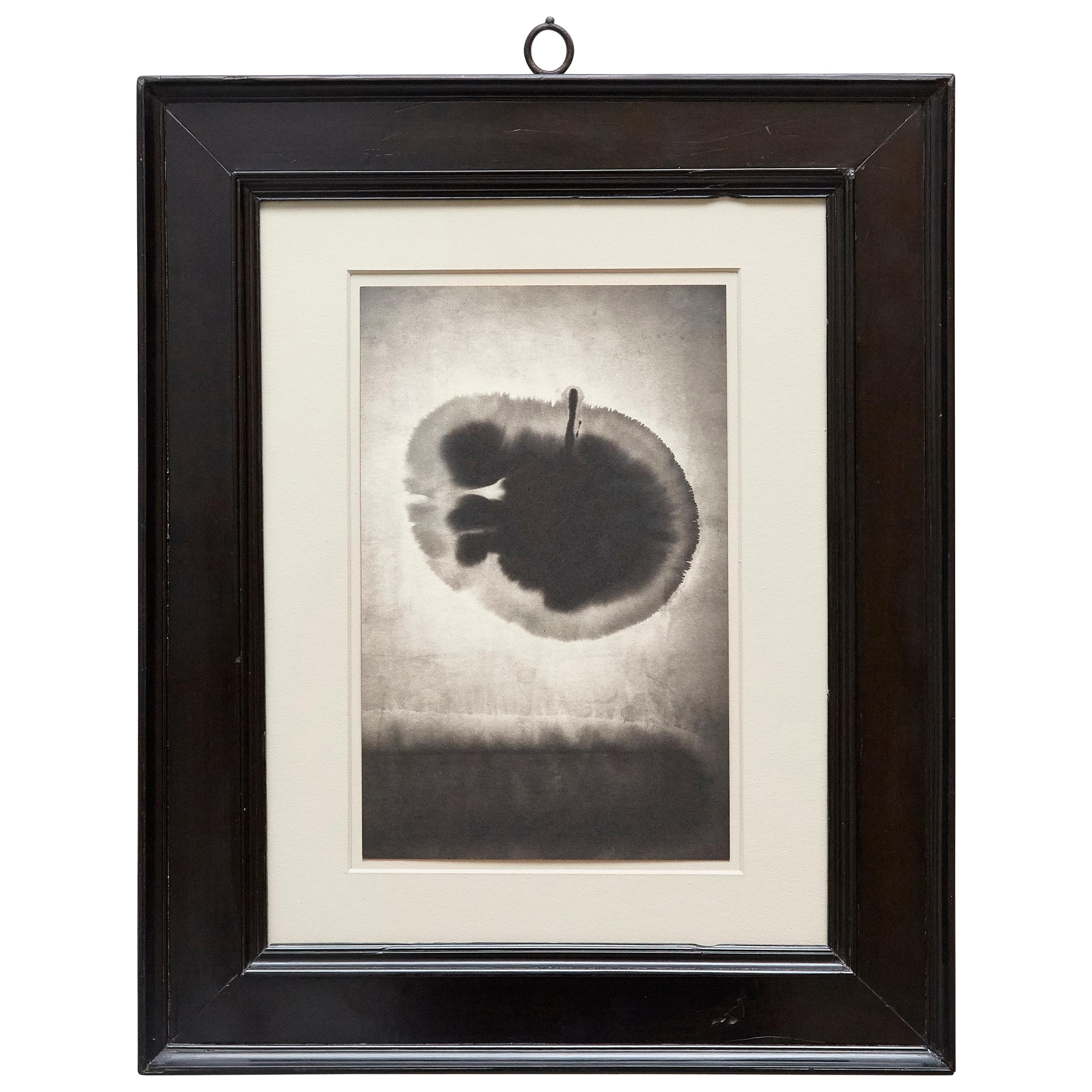 Black and White Photography Mouth of Krishna #110 by Albarran & Cabrera, 2013 For Sale