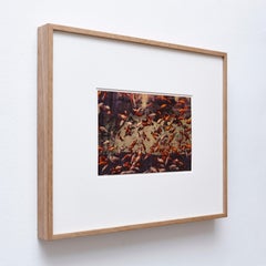 Albarrán Cabrera Fotografía firmada con pan de oro sobre papel japonés, enmarcada