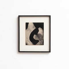 Mouth of Krishna Photography by Albarran & Cabrera, 2017