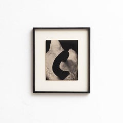 Mouth of Krishna Photography by Albarran & Cabrera, 2017