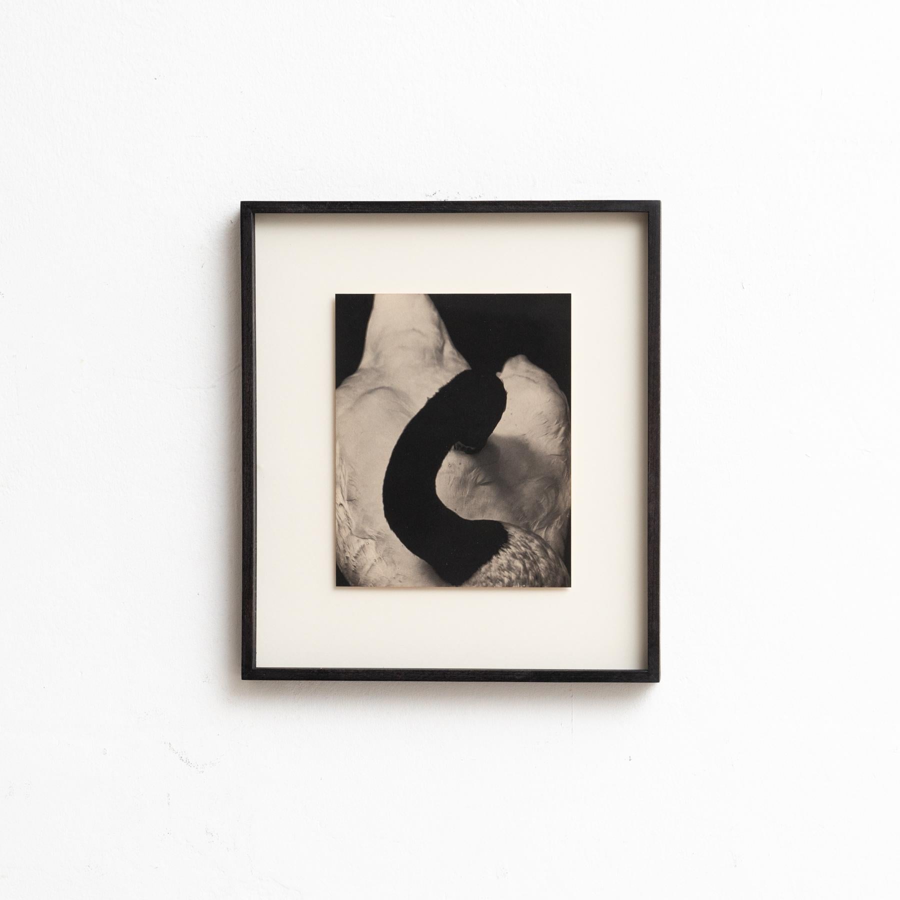Photography made by Albarran & Cabrera in Barcelona Spain.
Platinum palladium print
Signed, titled, dated and numbered in pencil on verso.
Framed.
Limited Edition.

Albarrán Cabrera are the photographers Anna Cabrera (b. 1969, Sevilla) and Angel