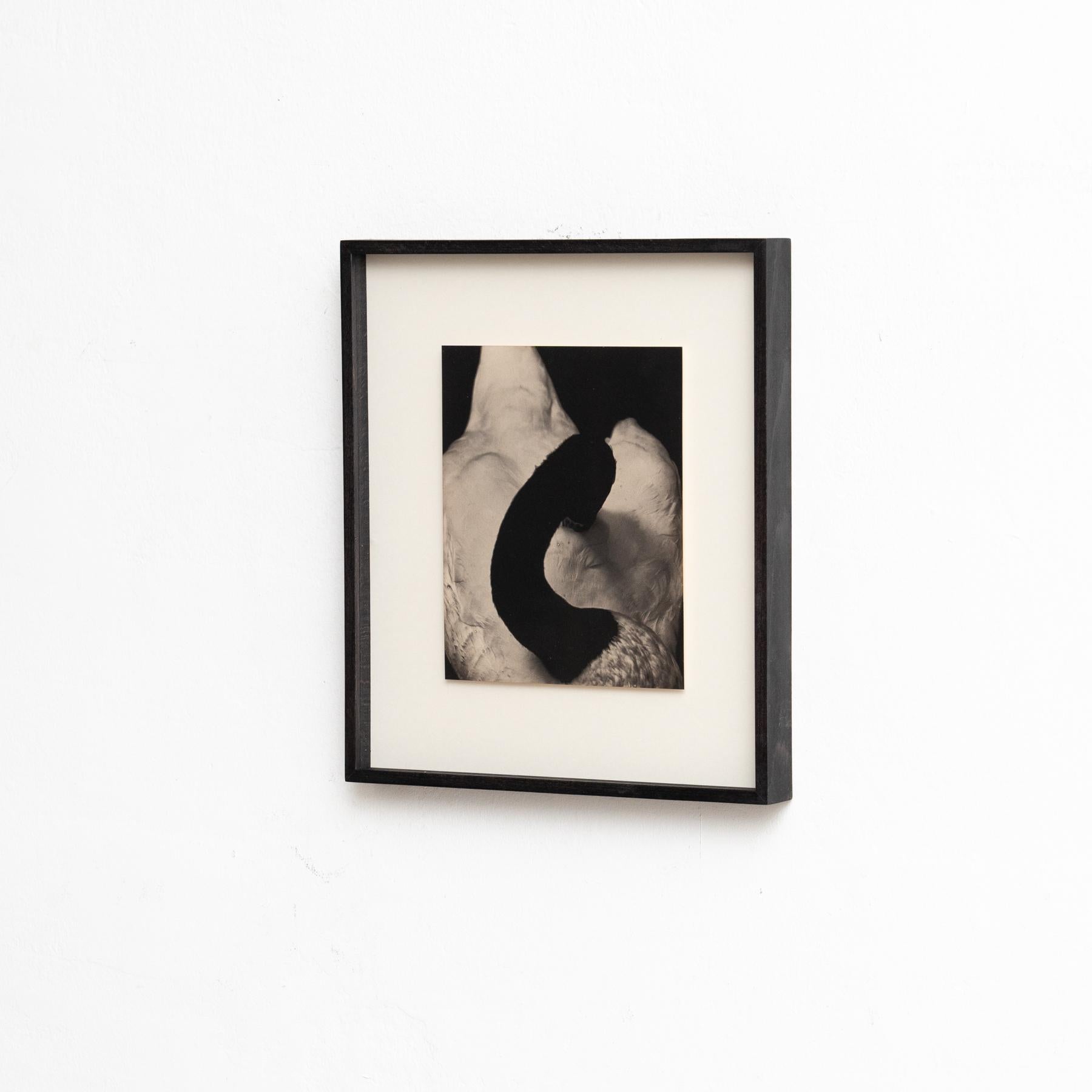 Mid-Century Modern Mouth of Krishna Photography by Albarran & Cabrera, 2017 For Sale