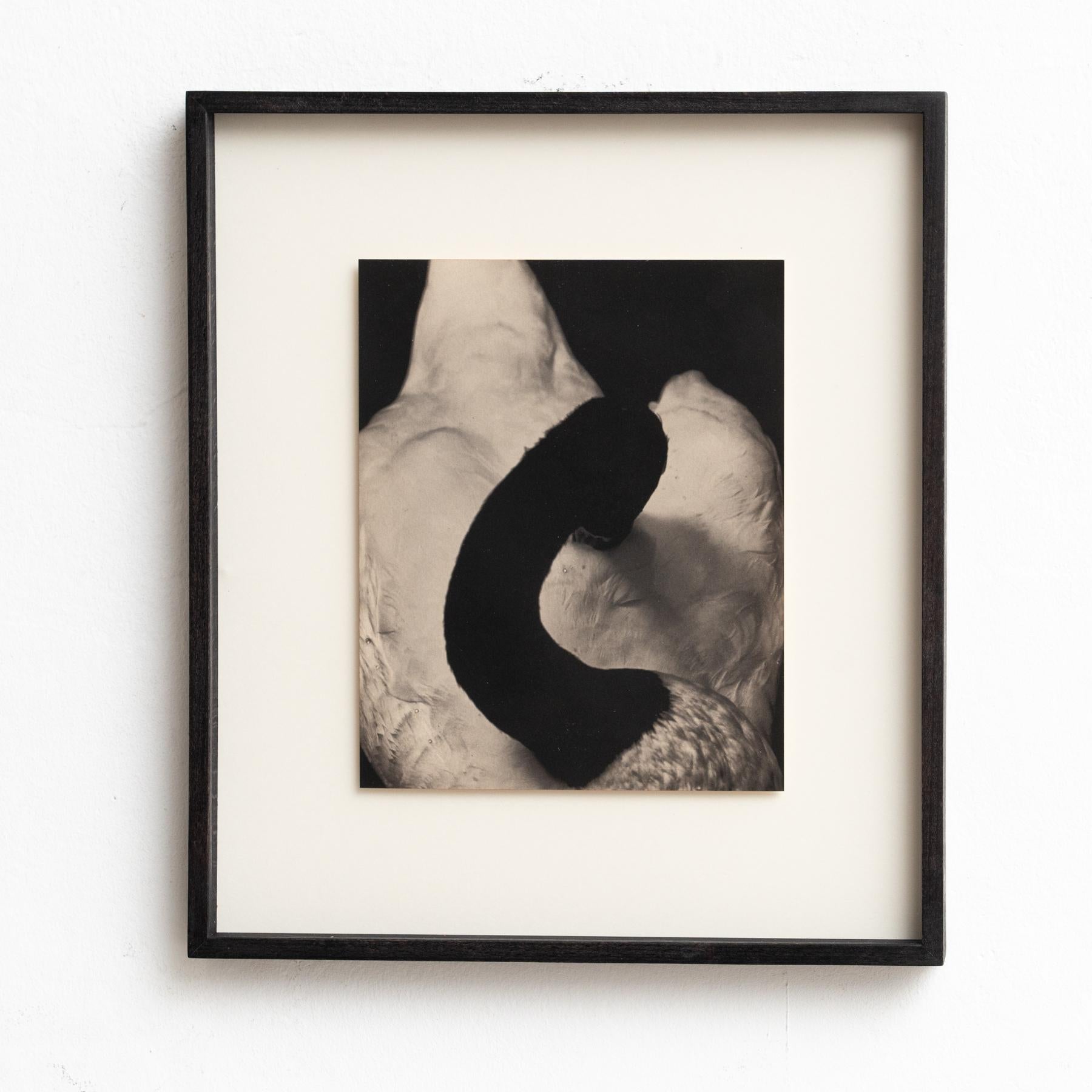 Spanish Mouth of Krishna Photography by Albarran & Cabrera, 2017 For Sale