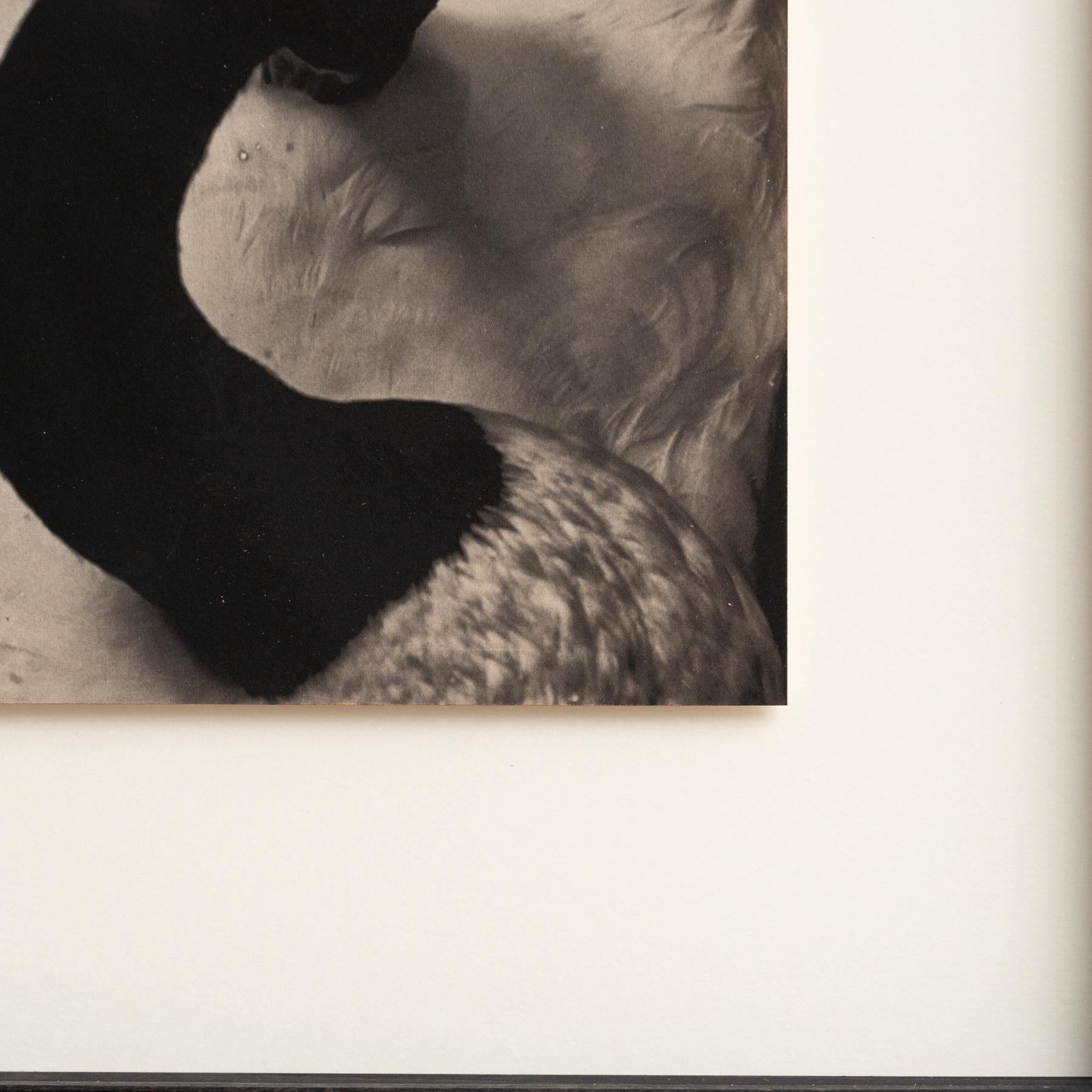Mouth of Krishna Photography by Albarran & Cabrera, 2017 In Good Condition For Sale In Barcelona, Barcelona