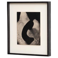 Mouth of Krishna Fotografie von Albarran & Cabrera, 2017