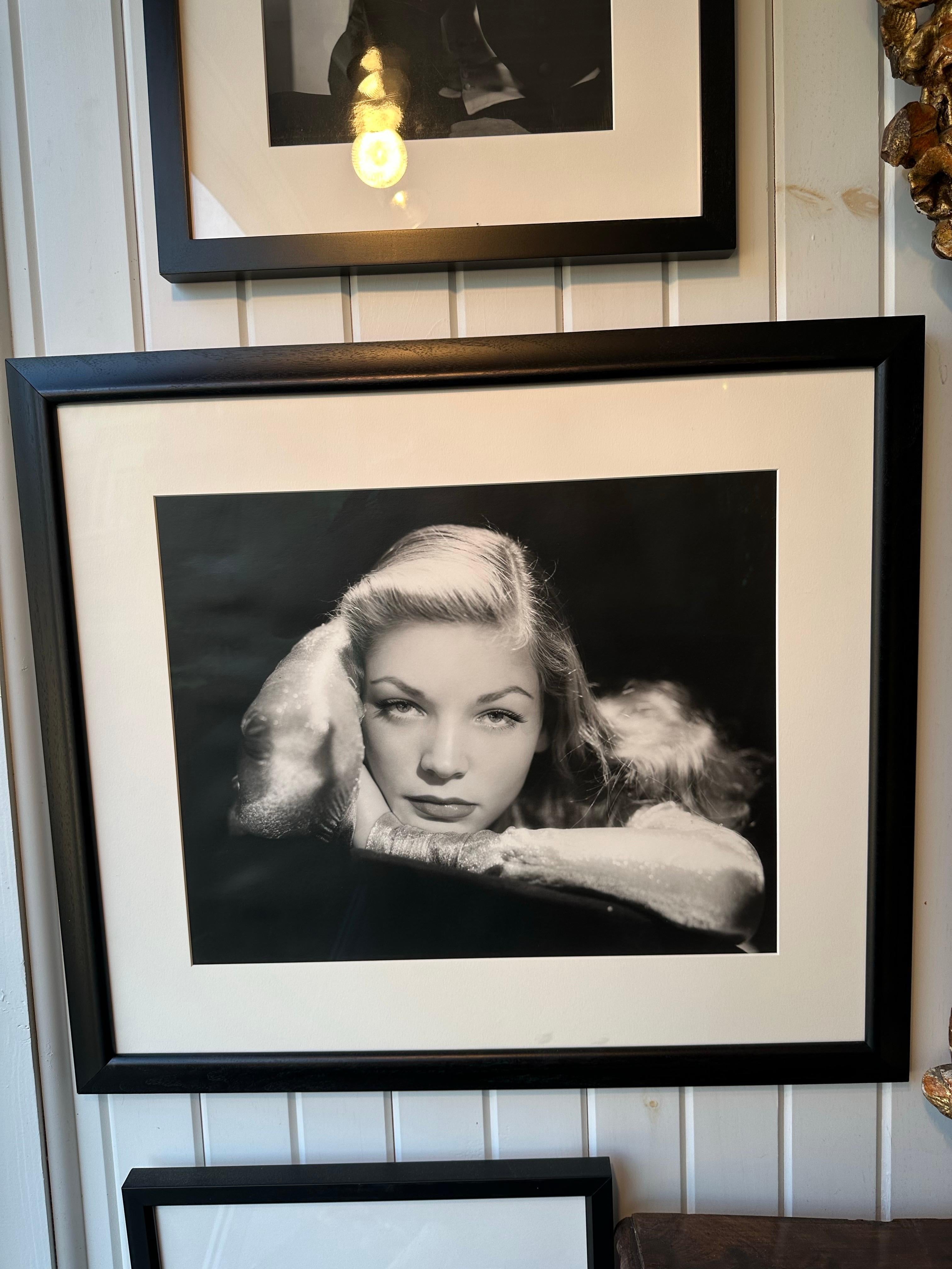 Foto in bianco e nero della star del cinema Lauren Bacall in cornice ebanizzata.  Ampia collezione di foto originali di testa di Hollywood, la maggior parte con l'etichetta del fotografo e molte firmate dall'attore.  Un'ottima installazione per un