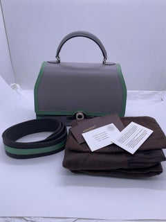 Moynat Rejane BB Handtasche, Elefantengrau & Mintgrün zweifarbig, Silberfarbenes Hartgewebe