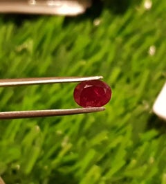Mozambique Ruby 1.65Cts Cut Stone Unheated Ruby AAA+Natural Certified Ruby