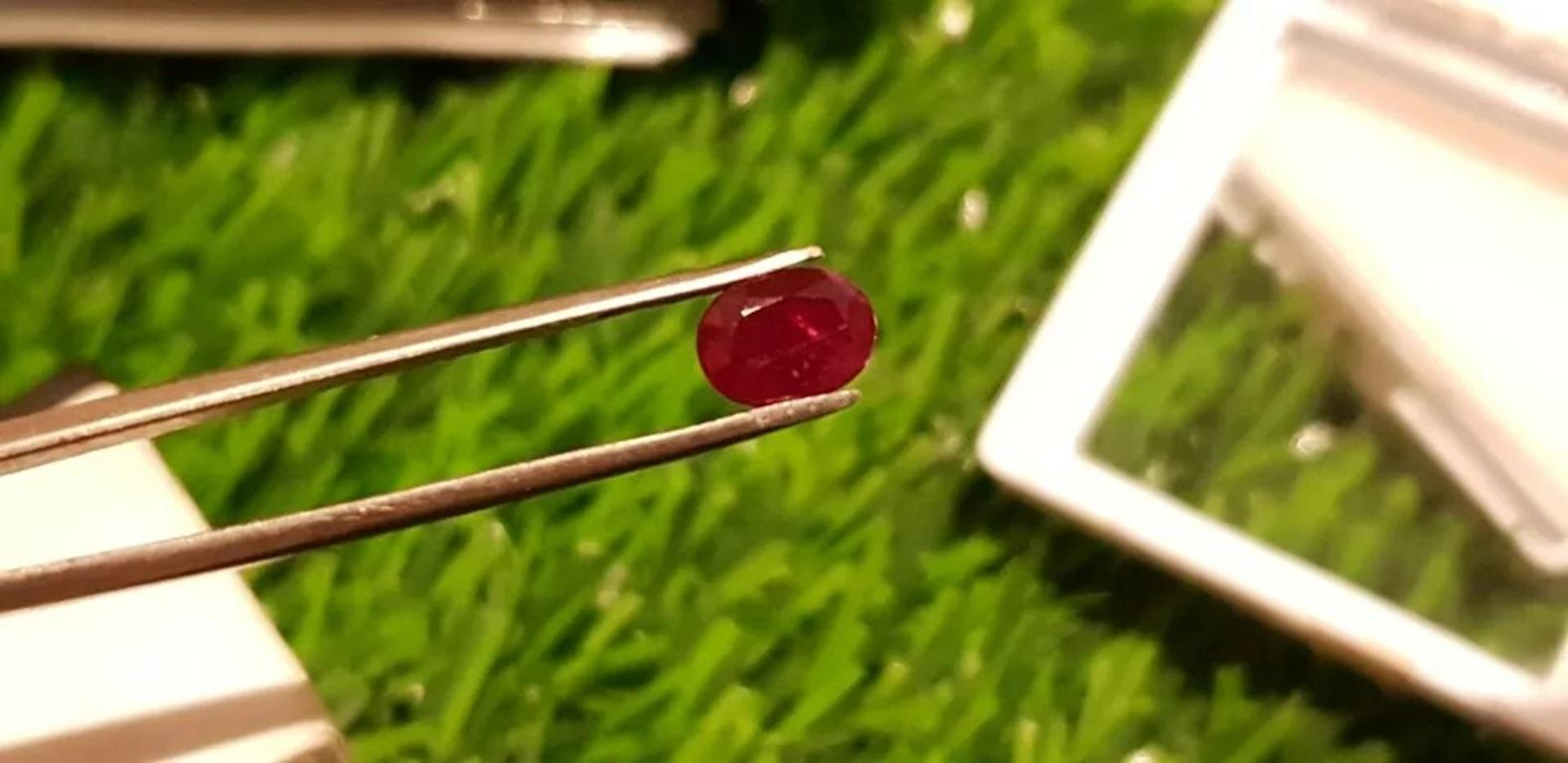 Oval Cut Mozambique Ruby 1.65Cts Cut Stone Unheated Ruby AAA+Natural Certified Ruby For Sale