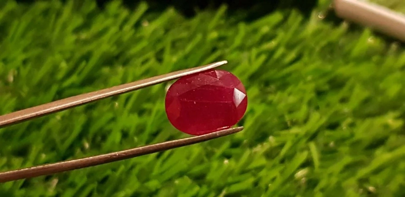 Mozambique Ruby 7.00 cts Blood Red Unheated 100% Natural Cut Stone