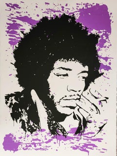 Used Jimi Hendrix Purple Haze, 2009