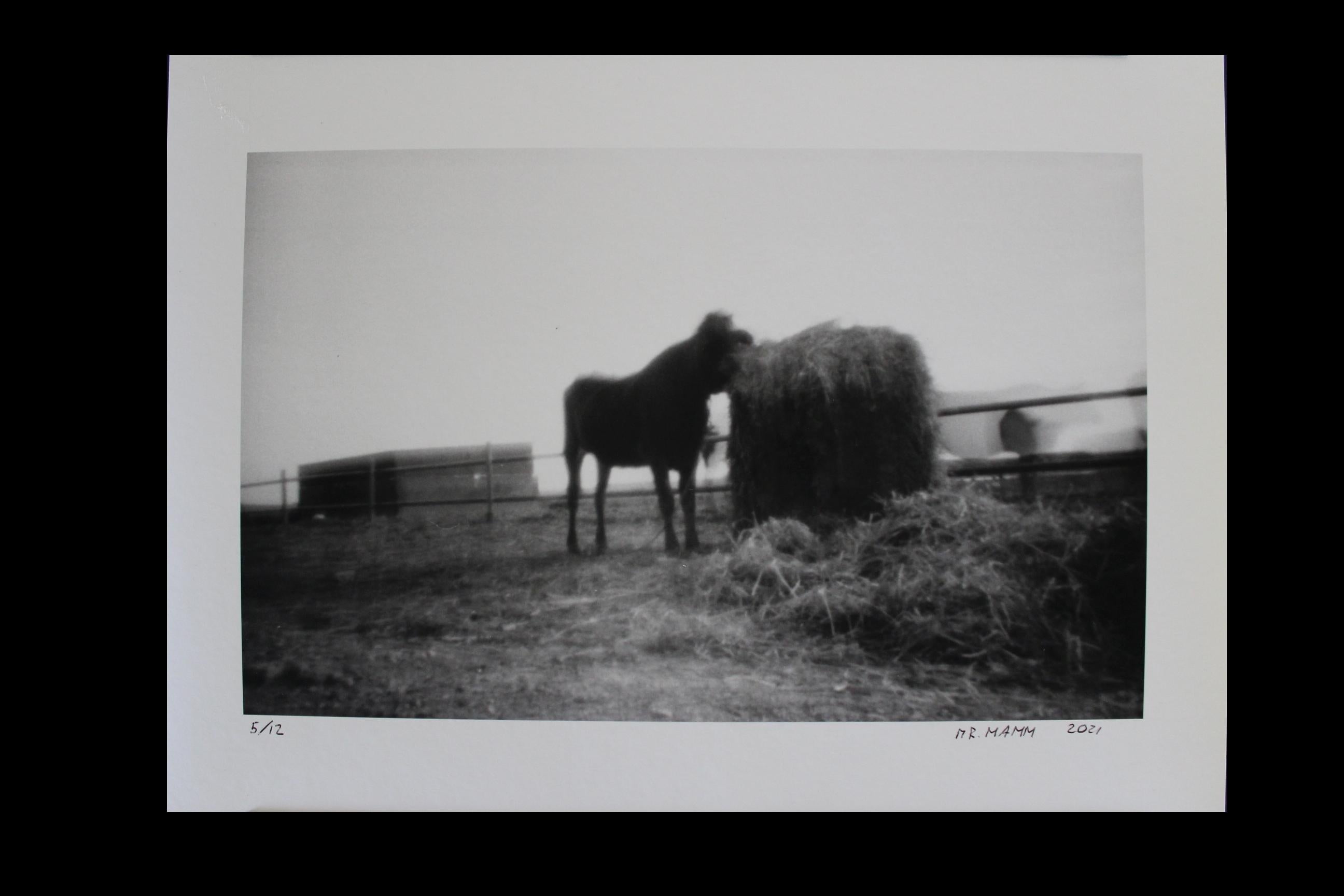 Figurative Photograph Mr. Mamm - Heure du déjeuner