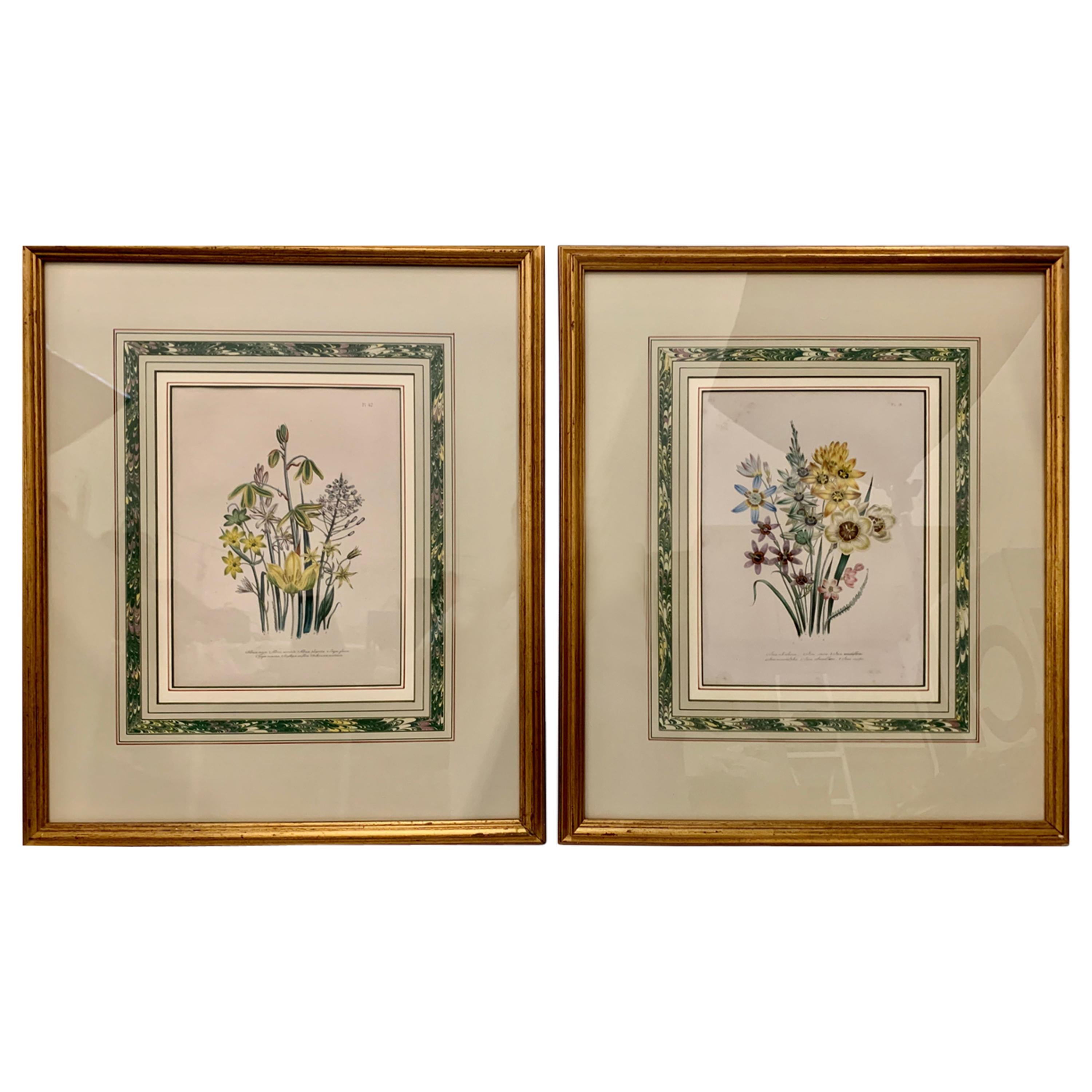 Mrs. Loudon’s Prints "Ladies Flower Garden of Ornamental Bulbous Plants", 1864  For Sale