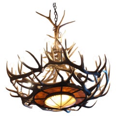 Mt Bross Elk Antler Series Iron Base Chandelier by The Peak Antler Mt Bross Elk Antler Series Iron Base Chandelier by The Peak Antler