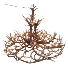 Mt Elbert Elk
Mule Deer Series Antler Chandelier by The Peak Antler Mt Elbert Elk
Mule Deer Series Antler Chandelier by The Peak Antler